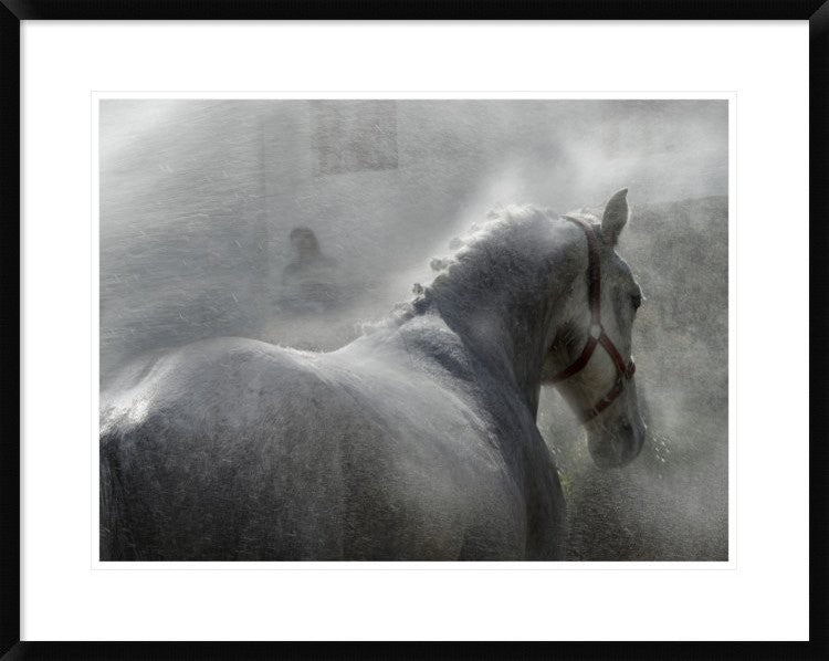 "Gramy" Framed Digital Print by Milan Malovrh, 32x26"