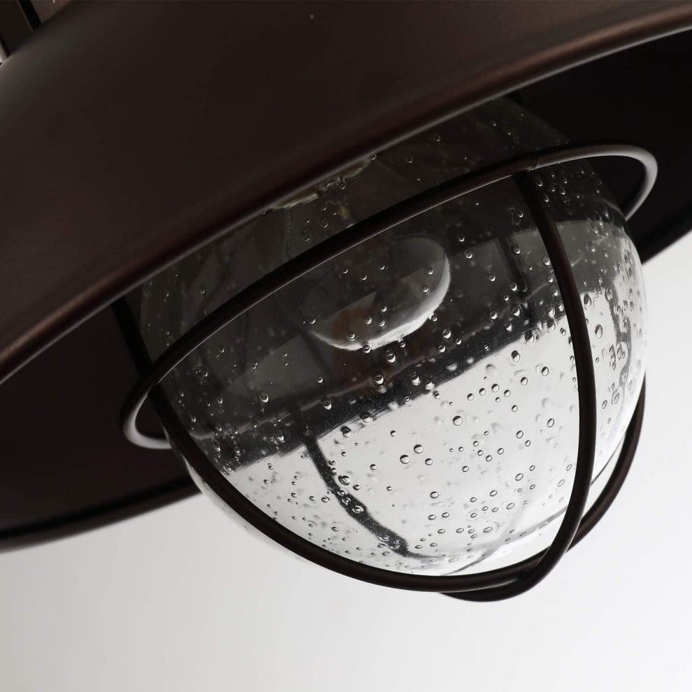 Farmhouse Flush Mount Ceiling Light Fixture, Cage, Glass Shade