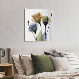 "Gentian Buddies" Frameless Free Floating Panel Graphic Wall Art, 24"x24"