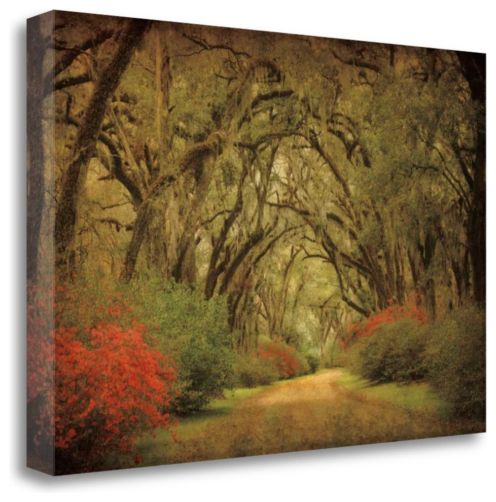 "Road Lined With Oaks And Flowers" By William Guion, Gallery Wrap Canvas