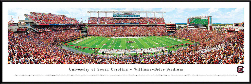 South Carolina, University Of, 50 Yard Line, Standard Frame