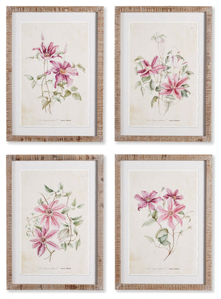 4-Piece Pink Clematis Print Set