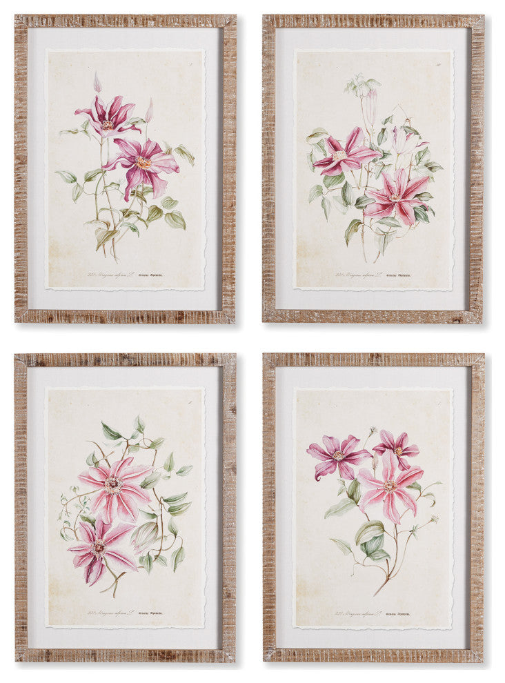 4-Piece Pink Clematis Print Set