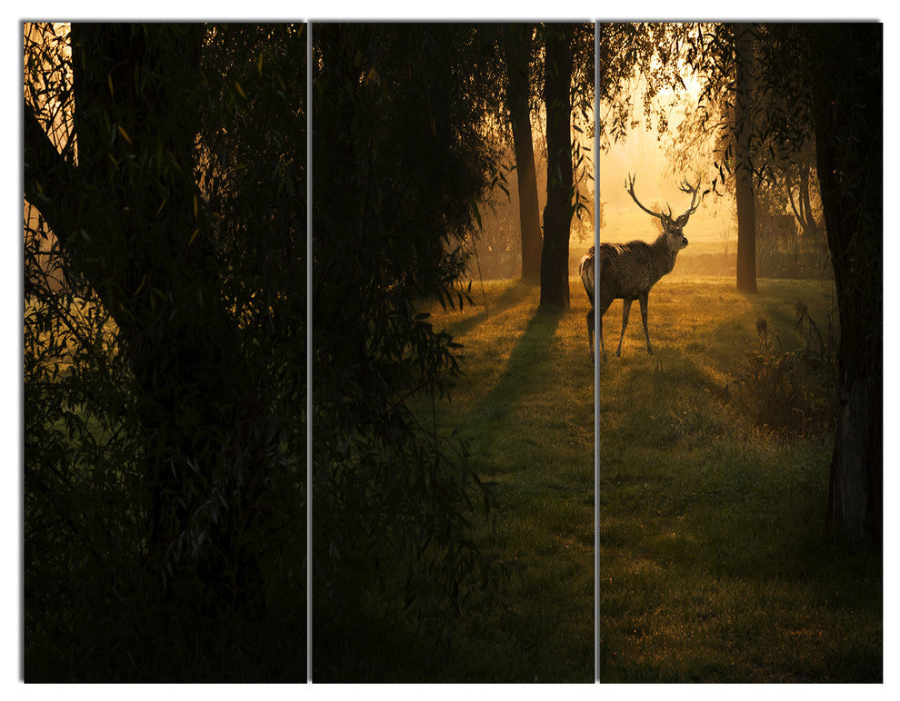 Deer In Sunset In Deep Forest, Large Forest Triptych Canvas Art, 36x28, 3 Panels