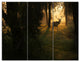 Deer In Sunset In Deep Forest, Large Forest Triptych Canvas Art, 36x28, 3 Panels
