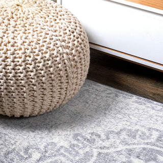 Modern Persian Medallion Gray/Ivory 3'x5' Area Rug
