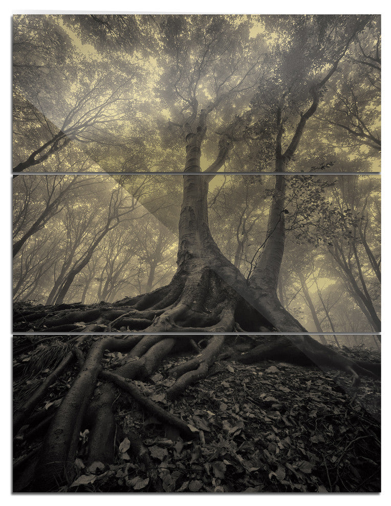 "Tree With Big Roots on Halloween" Photo Metal Wall Art, 3 Panels, 28"x36"