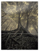 "Tree With Big Roots on Halloween" Photo Metal Wall Art, 3 Panels, 28"x36"