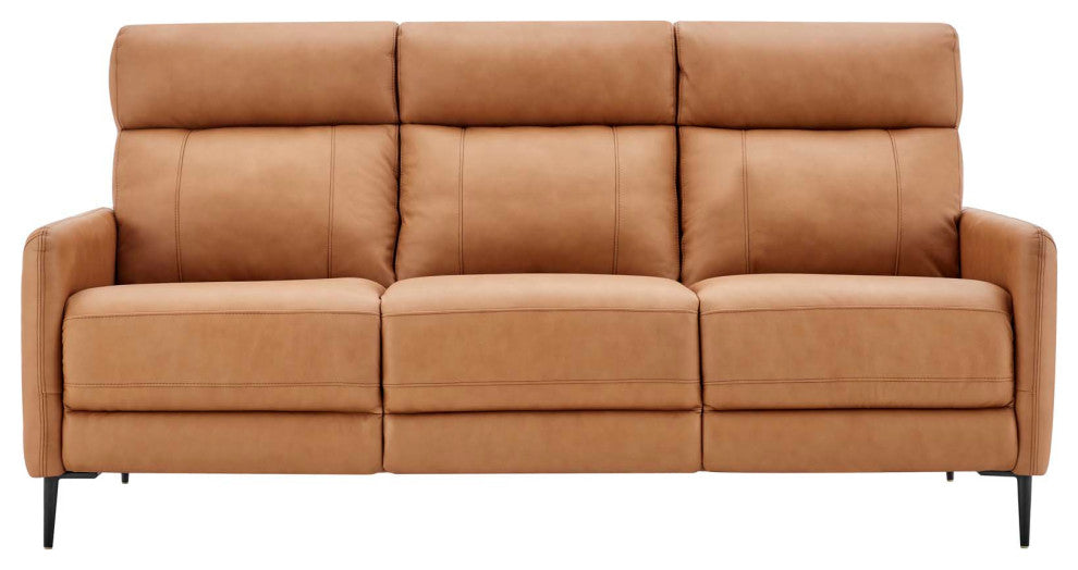 Sofa, Leather, Tan, Modern, Living Lounge Room Hotel Lobby Hospitality
