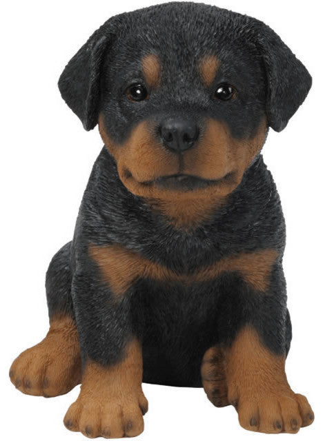 Realistic Rottweiler Puppy Dog Garden Statue