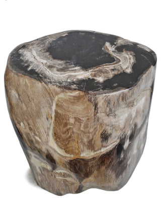 Petrified Stump Stool