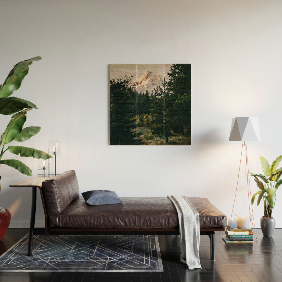 Hannah Kemp Mount Hood Xv Wood Wall Mural