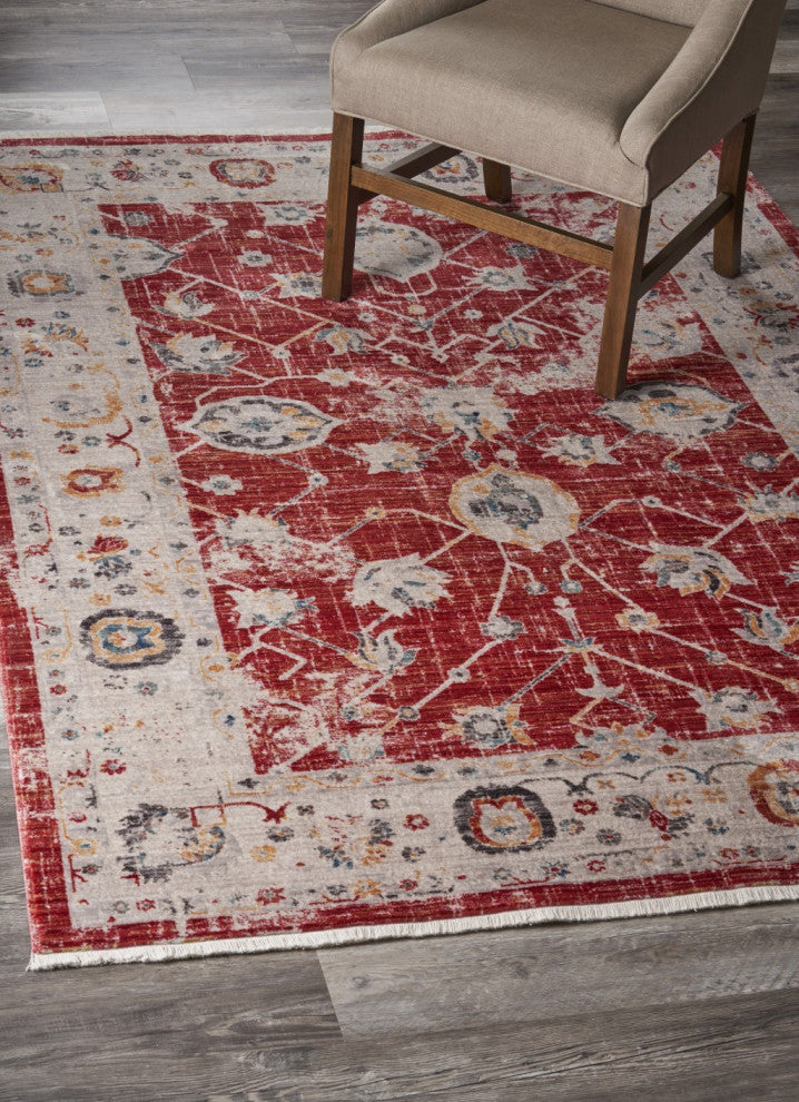 10" x 13" Red Distressed Border Area Rug