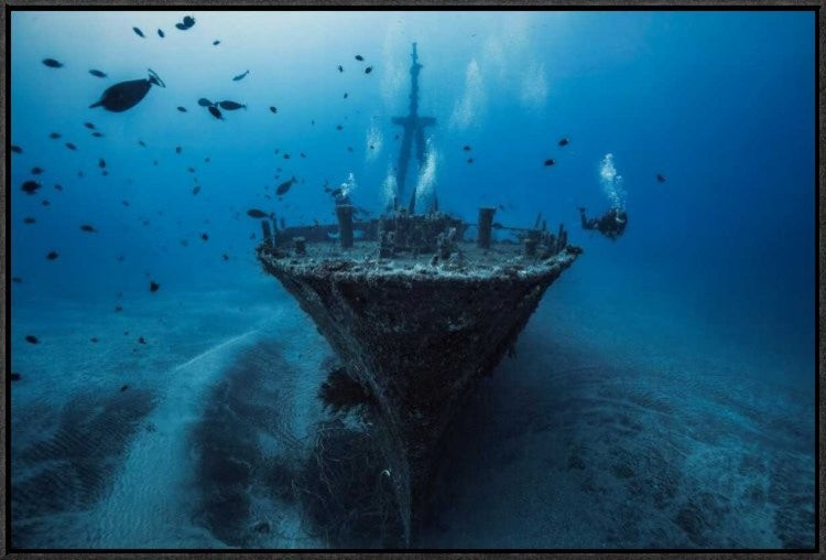 "Hai Siang Wreck" Framed Canvas Giclee by Barathieu Gabriel, 31x21"