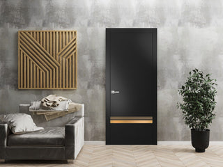 Solid French Door 18 x 96 | Planum 2010 Matte Black with| Bathroom