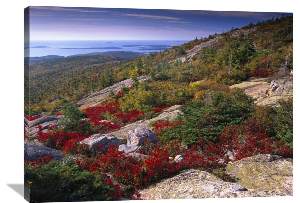 "Atlantic Coast From Cadillac Mountain, Acadia National Park, Maine" Artwork
