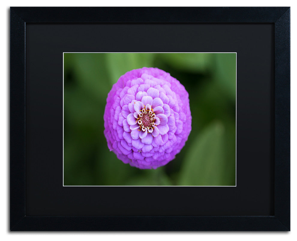 Jason Shaffer 'Purple Flower' Matted Framed Art, Black Frame, Black Mat, 20x16