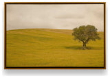 "Tuscan Fields' Charm" - A Touch of Italian Rusticity for Elegant Interiors