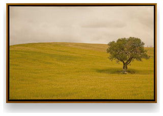 "Tuscan Fields' Charm" - A Touch of Italian Rusticity for Elegant Interiors