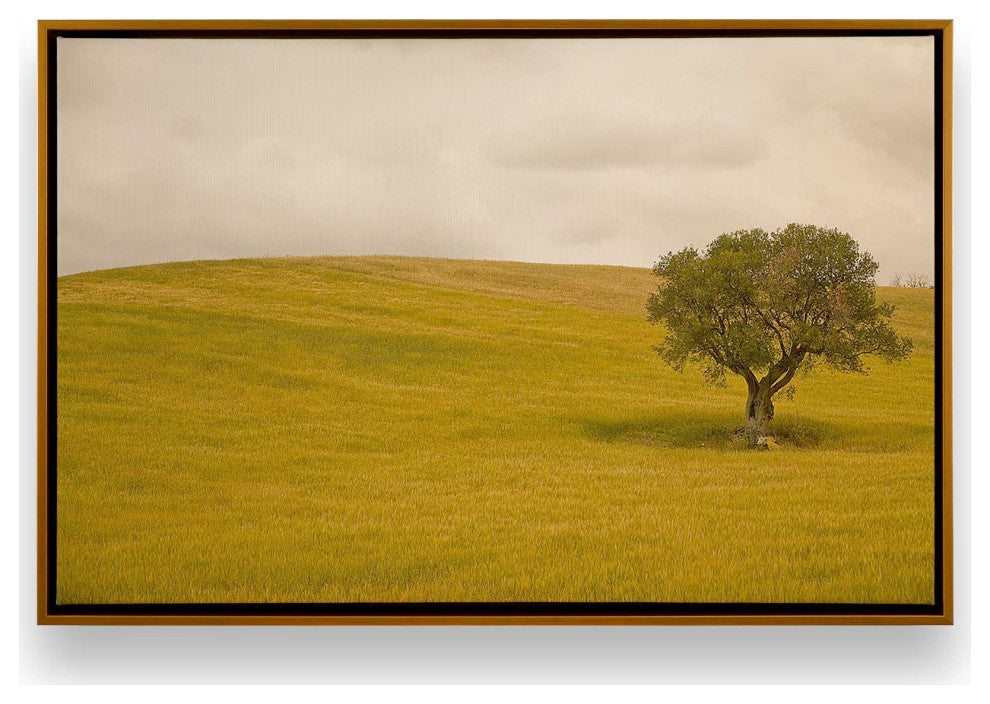 "Tuscan Fields' Charm" - A Touch of Italian Rusticity for Elegant Interiors