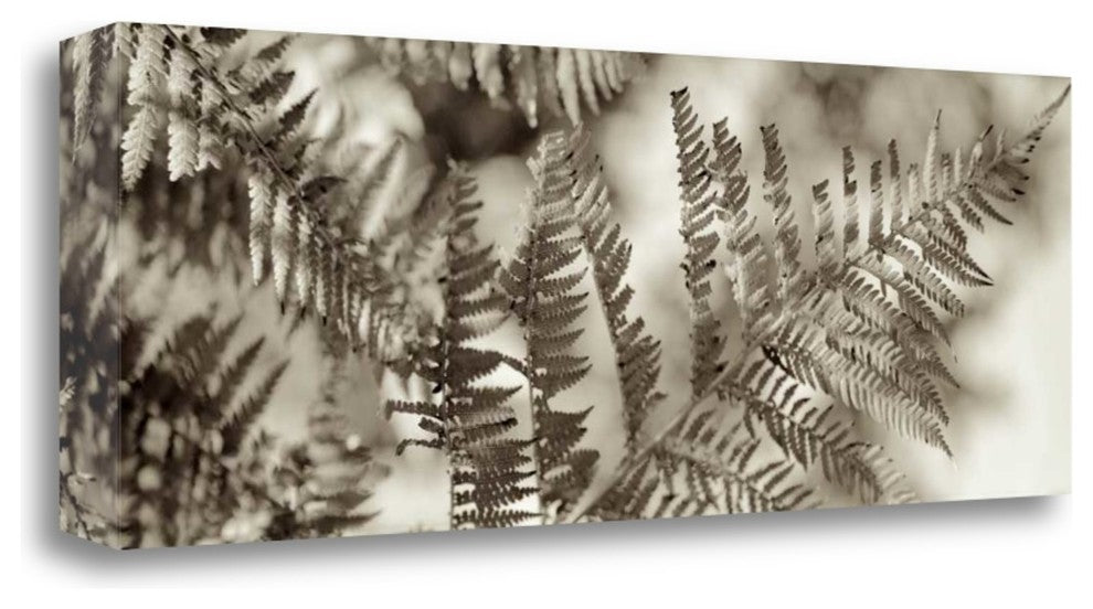 "Florison - 101" By Alan Blaustein, Giclee Print on Gallery Wrap Canvas