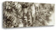 "Florison - 101" By Alan Blaustein, Giclee Print on Gallery Wrap Canvas