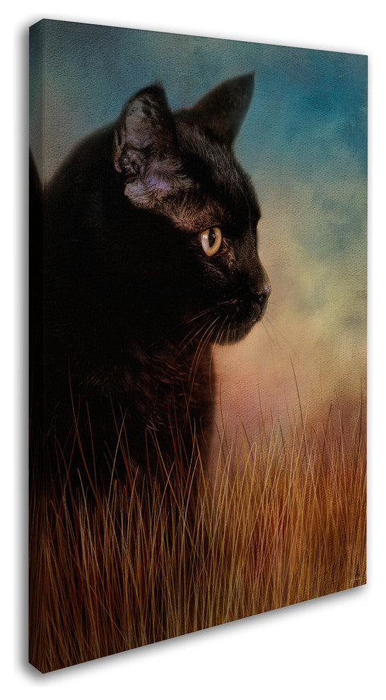 Jai Johnson 'If Only' Canvas Art, 47 x 30