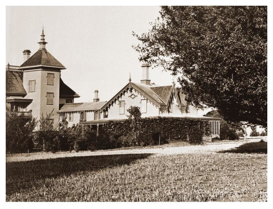 "Residence of Mr. Howard, San Mateo, Olive Tree, 1863-1880" Paper Art, 24"x19"