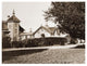 "Residence of Mr. Howard, San Mateo, Olive Tree, 1863-1880" Paper Art, 24"x19"