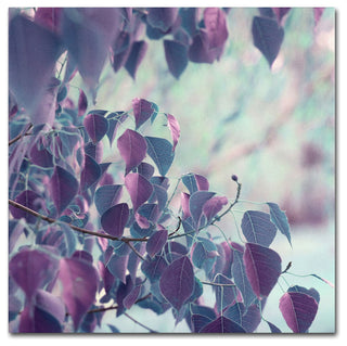 'Summer Thoughts' Canvas Art by Beata Czyzowska Young