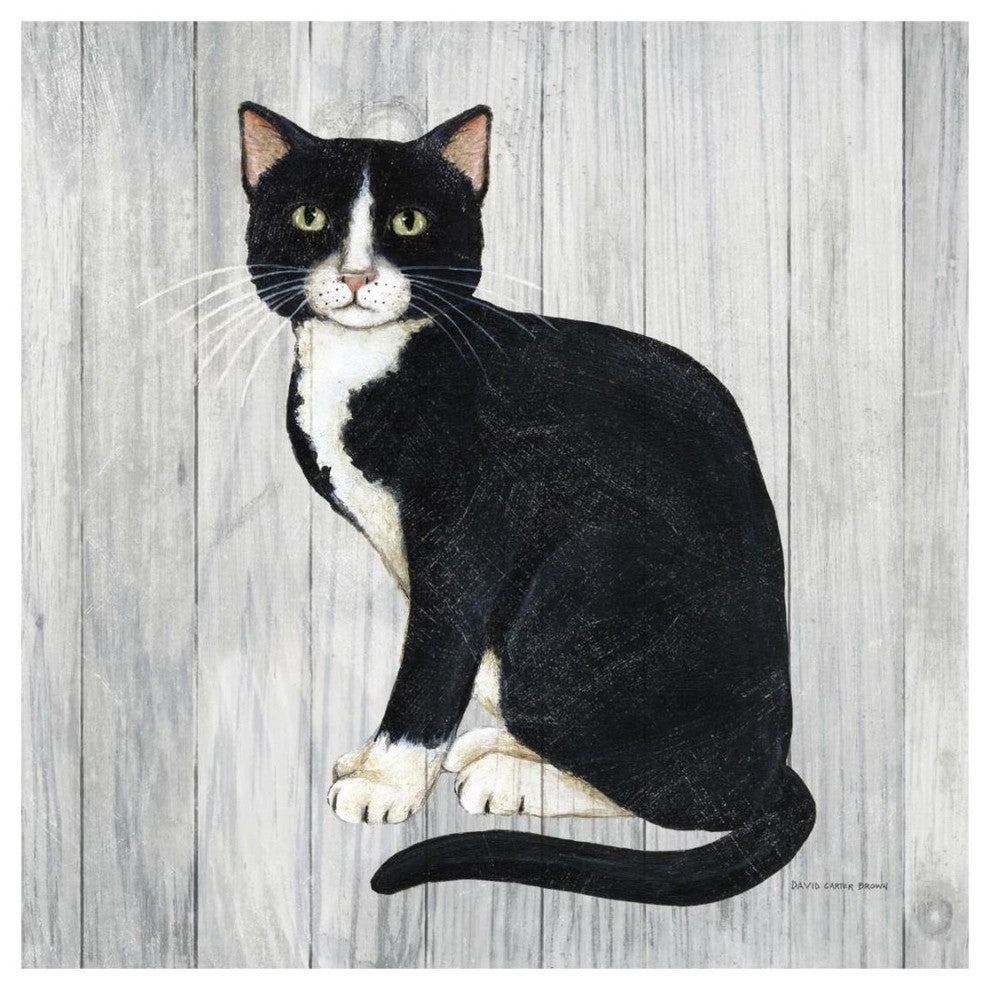 "Country Kitty I on Wood" Digital Paper Print by David Carter Brown, 20"x20"