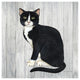 "Country Kitty I on Wood" Digital Paper Print by David Carter Brown, 20"x20"