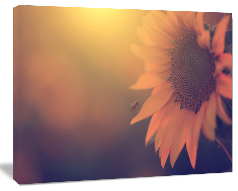 Vintage Photo Of Sunflower Close up, Large Floral Canvas Art Print, 60"x28"