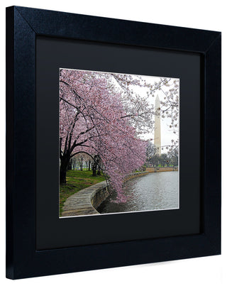 CATeyes 'Washington Blossoms' Matted Framed Art, 11x11