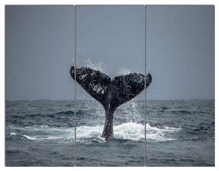 Large Humpback Whale Tail, Oversized Animal Wall Art, 36x28, 3 Panels