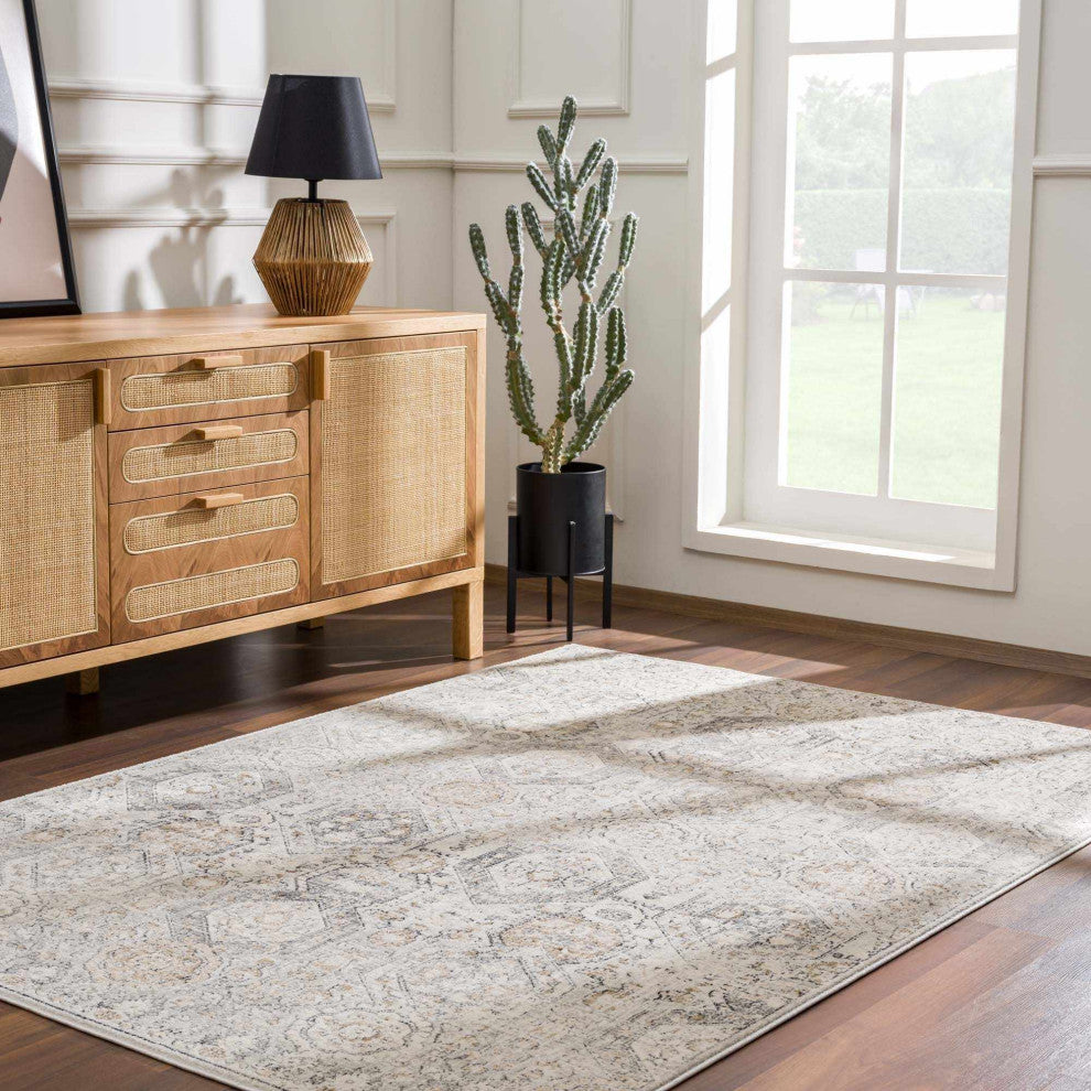 Hauteloom Parkerfield Blue Area Rug, Beige/Black/Gray, 4'3"x5'7"