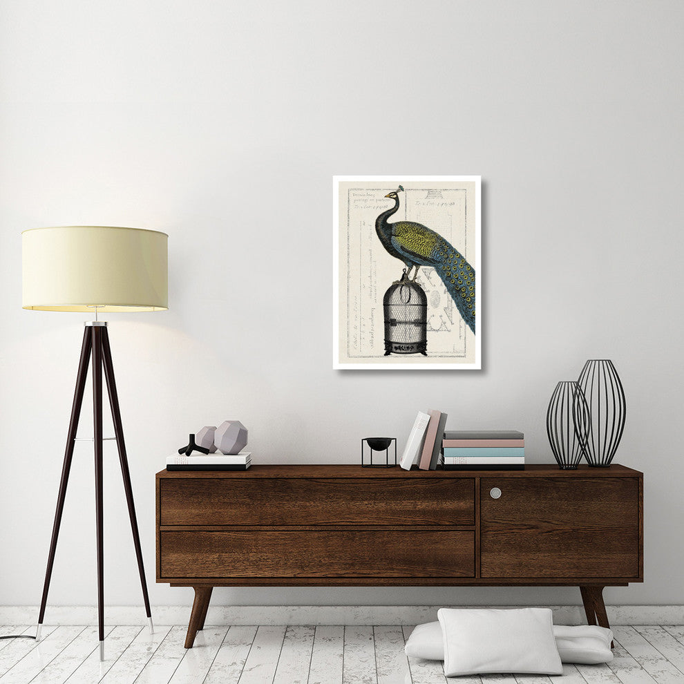 "Peacock Birdcage II" Digital Paper Print by Sue Schlabach, 26"x34"
