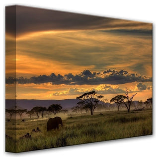 Africa' Canvas Wall Decor