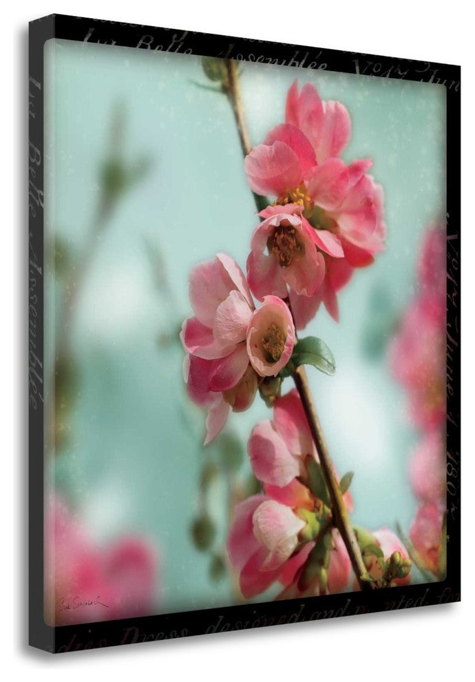 "Quince Blossoms III" By Sue Schlabach, Giclee Print on Gallery Wrap Canvas