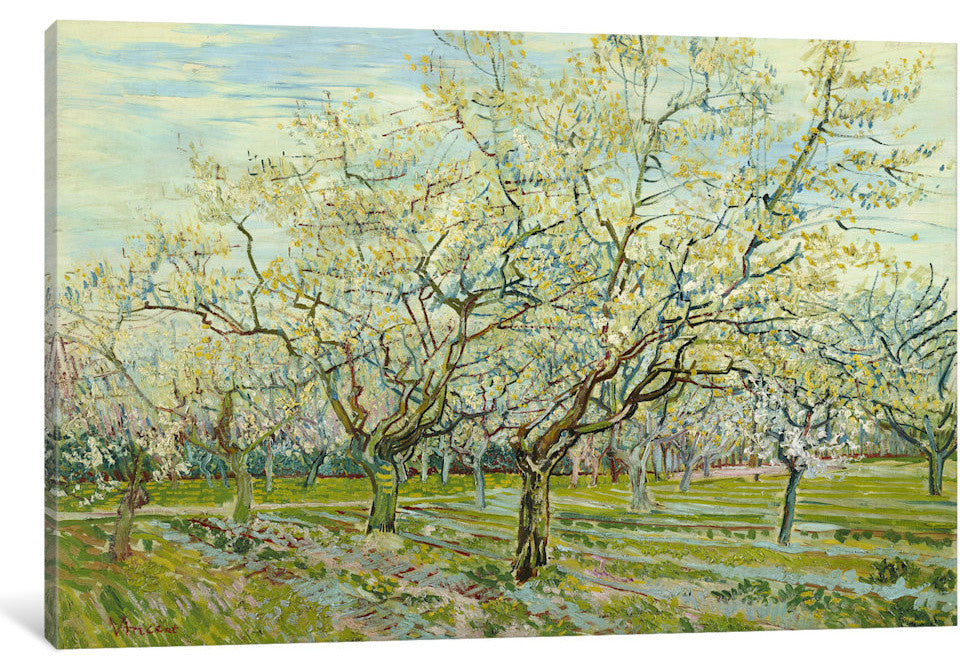 "The White Orchard" Wrapped Canvas Art Print, 26x18x1.5