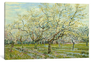 "The White Orchard" Wrapped Canvas Art Print, 26x18x1.5
