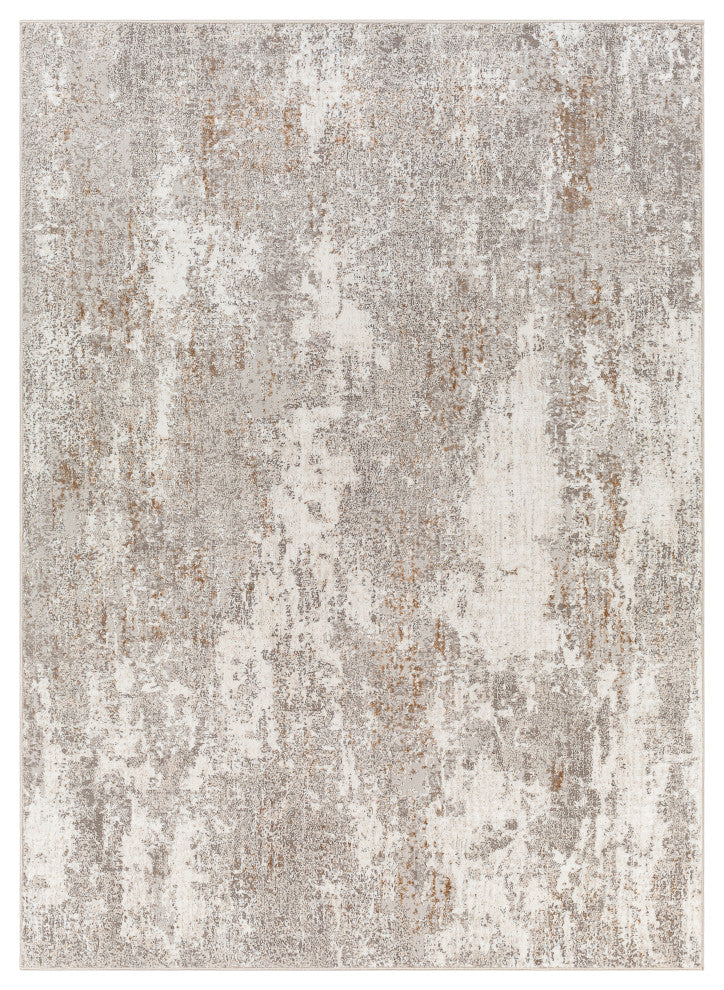 Allegro ALG-2304 Modern Light Gray 9'2"x12' Area Rug