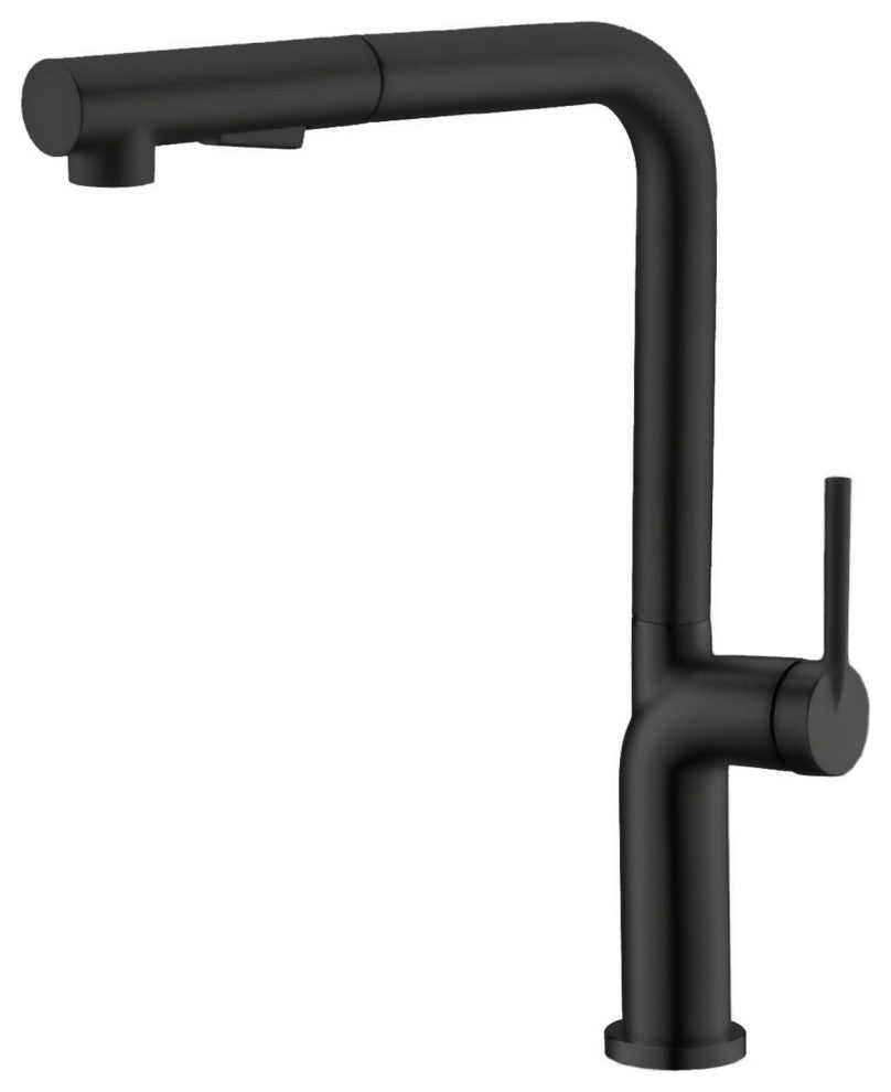 STYLISH Kitchen Sink Faucet Single Handle Pull Down Dual Mode Stainless Steel