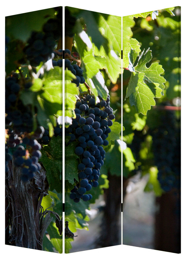 Screen Gems Wine Country Screen Sg-151