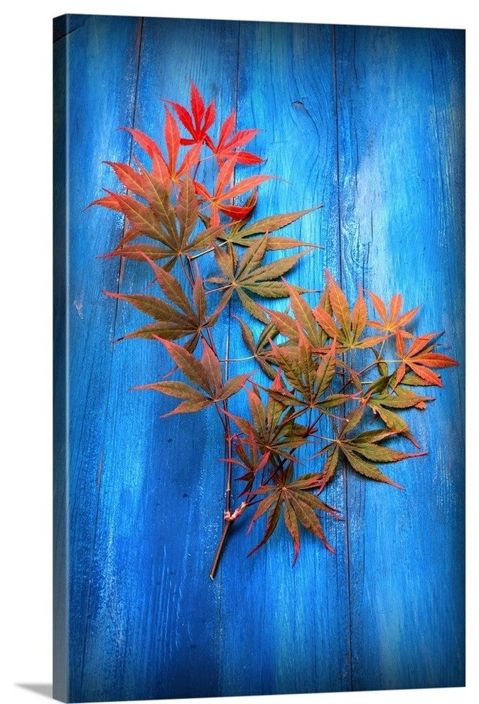 "On the Old Blue Wood" Wrapped Canvas Art Print, 16"x24"x1.5"