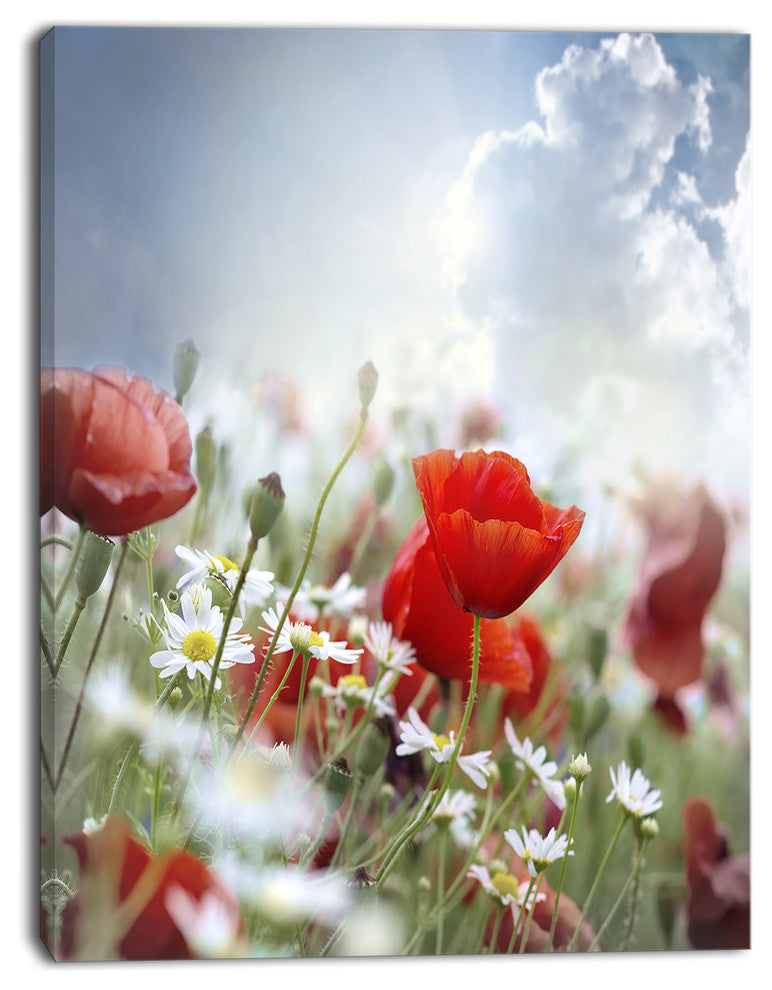 Red Poppies on Cloudy Background, Floral Canvas Art Print, 28"x60"