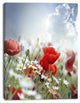 Red Poppies on Cloudy Background, Floral Canvas Art Print, 28"x60"