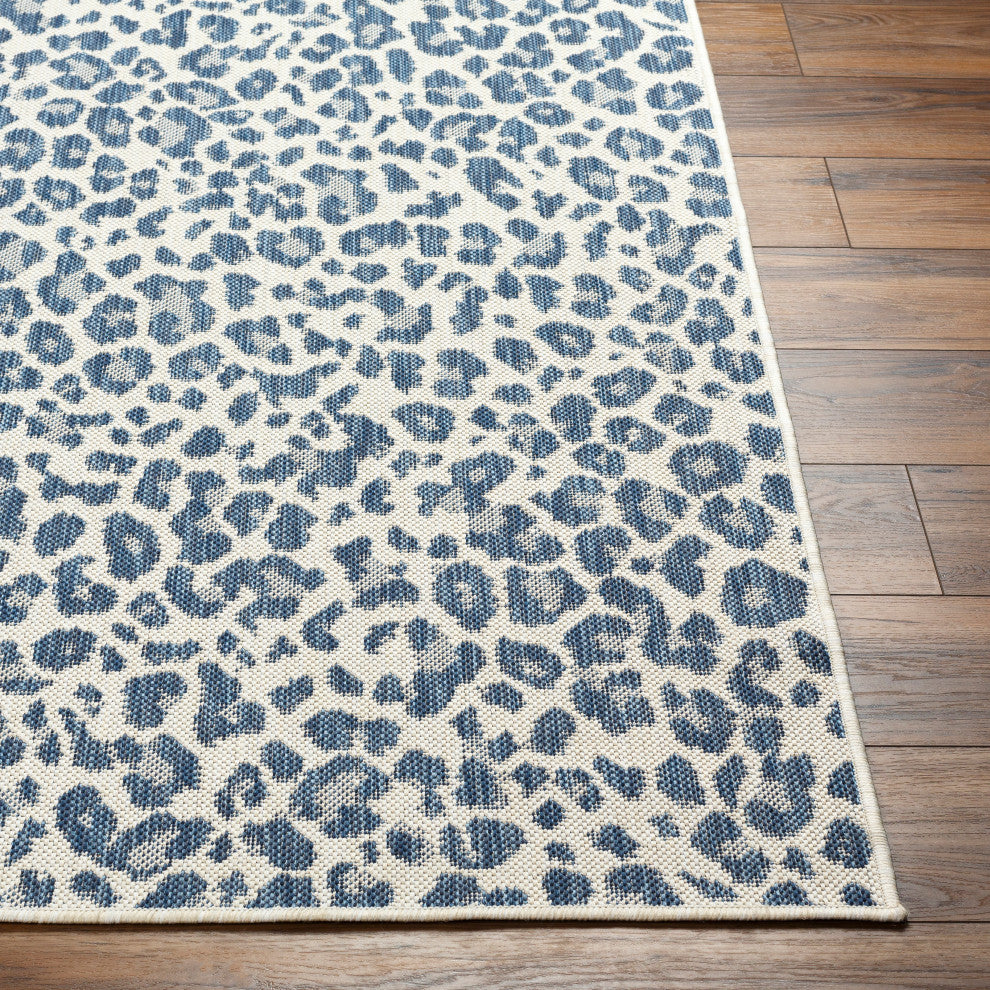 Surya Ravello RVL-2348 Indoor/Outdoor Area Rug