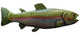 Rainbow Trout, Left Knob in Pewter Hand Tinted, NHK148-PHT-L