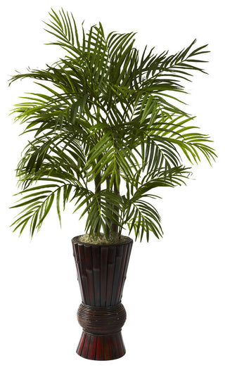 4" Areca With Bamboo Planter